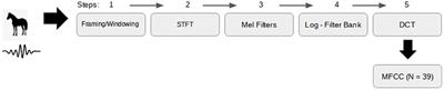 Integrating Audio Signal Processing and Deep Learning Algorithms for Gait Pattern Classification in Brazilian Gaited Horses